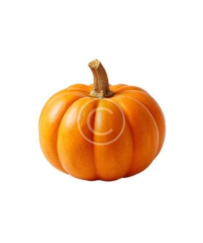 Classic orange cooking pumpkin
