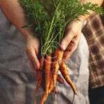 The rise of microgreen local farms in urban areas